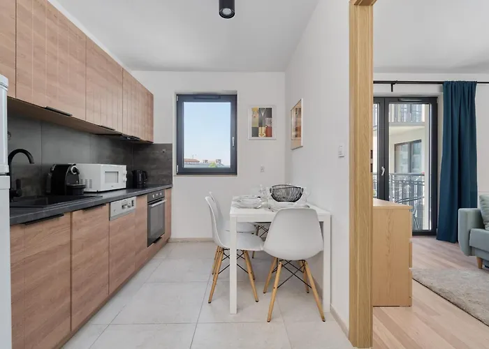 Center Mirrors With Parking By Renters * Breslavia