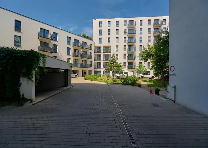 Center Mirrors With Parking By Renters *