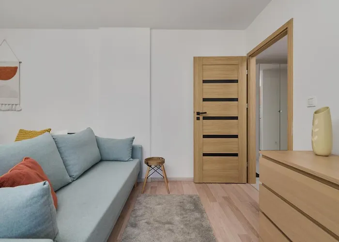 Center Mirrors With Parking By Renters Breslavia