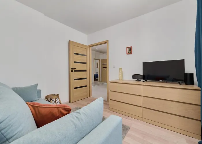 Center Mirrors With Parking By Renters Breslau