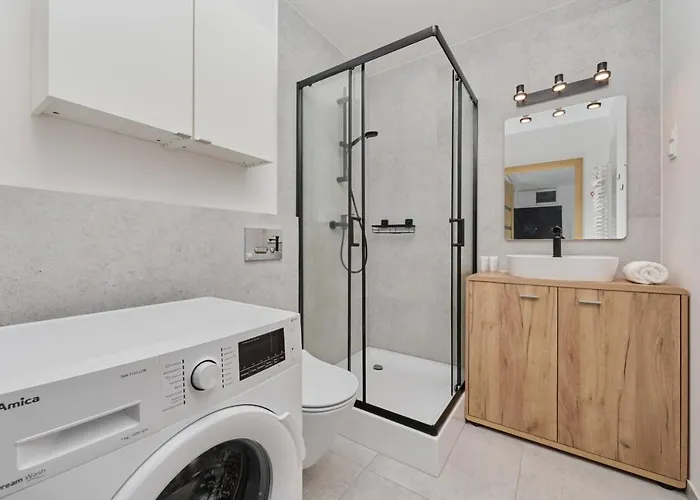 Center Mirrors With Parking By Renters * Breslau